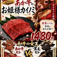 画像483